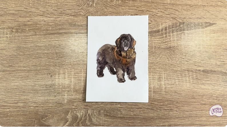 Рисуем Собака породы Ньюфаундленд Рисуем Собака породы Ньюфаундленд