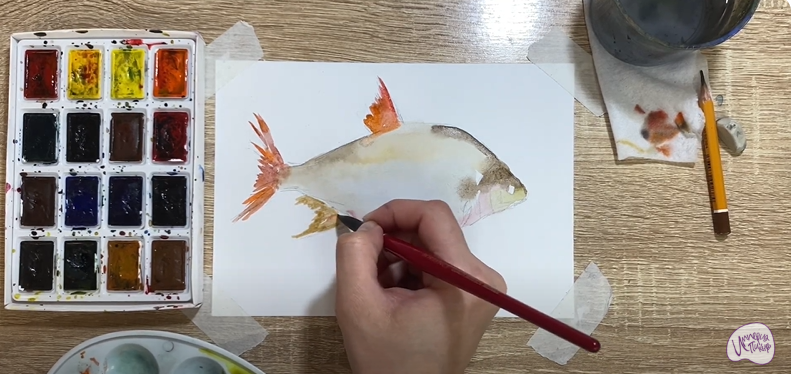 Рисуем Лещ