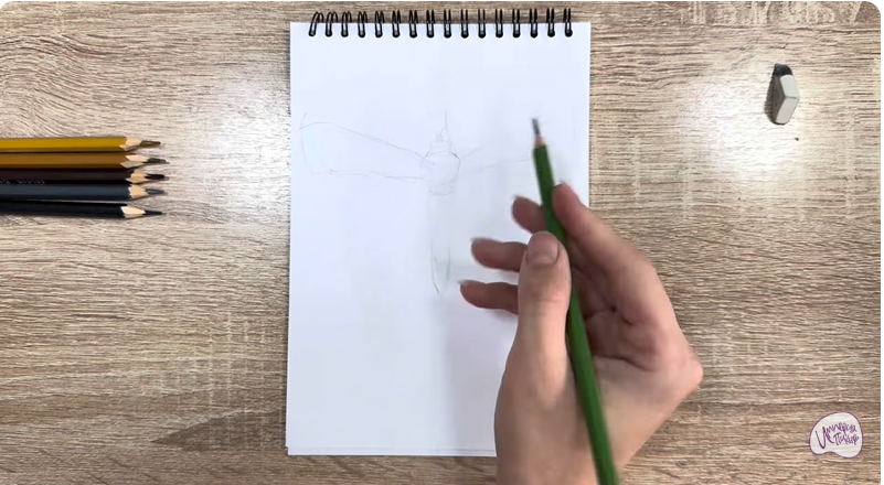 Рисуем Огнёвка зерновая