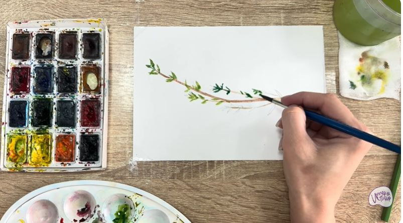 Рисуем Тимьян