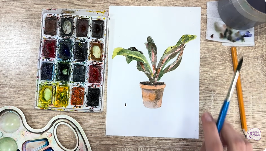 Рисуем Кротон в горшке