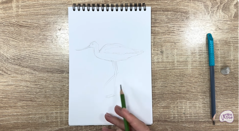 Рисуем Шилоклювка