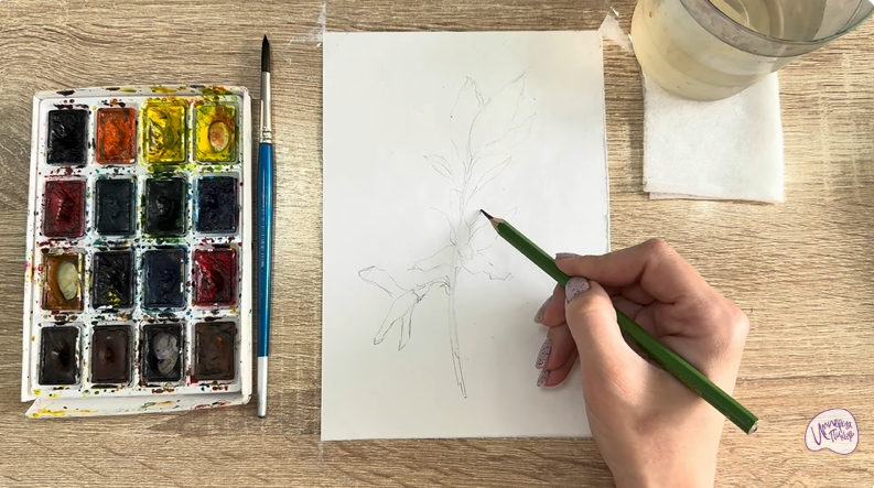 Рисуем Форзиция