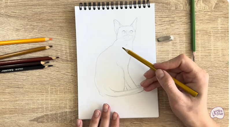 Рисуем Кошка Тойгер