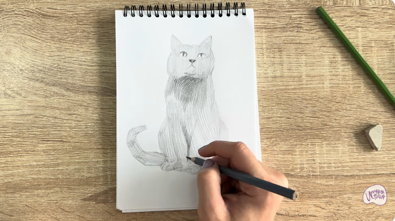 Рисуем Кот породы Шартрез