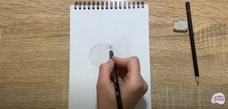 Рисуем Скорлупа