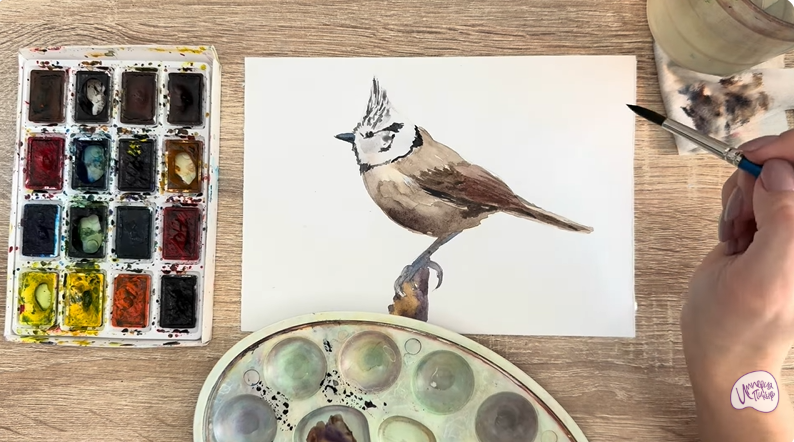 Рисуем Хохлатая синица