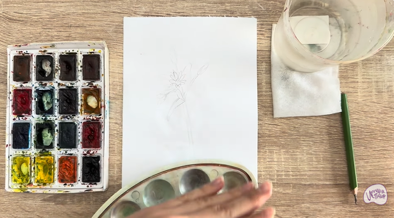 Рисуем Ясколка длинноволосая