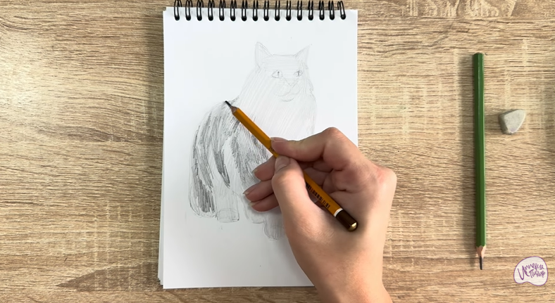 Рисуем Норвежский лесной кот