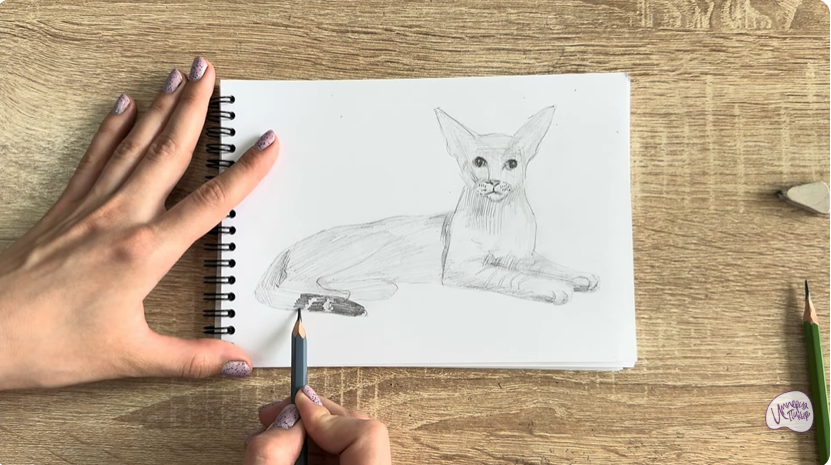 Рисуем Ориентальная кошка