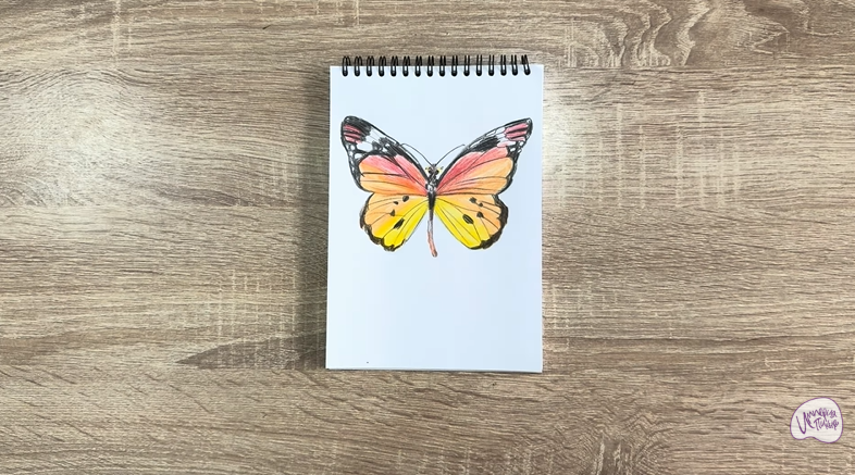 Рисуем Малинница обыкновенная