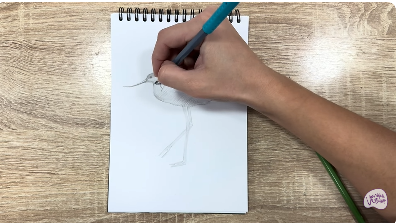 Рисуем Шилоклювка