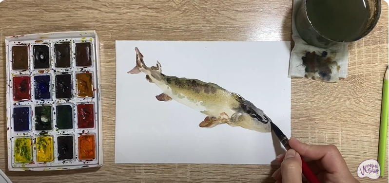 Рисуем Стерлядь