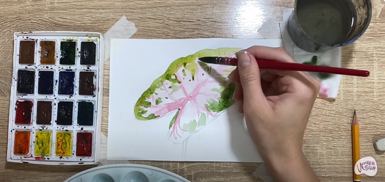 Рисуем Лист каладиума