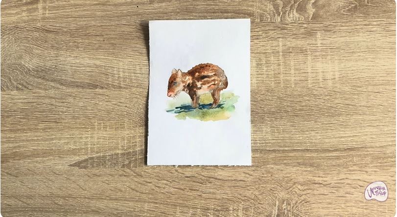 Рисуем Пака