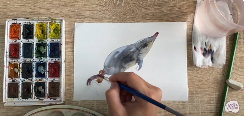 Рисуем Выхухоль
