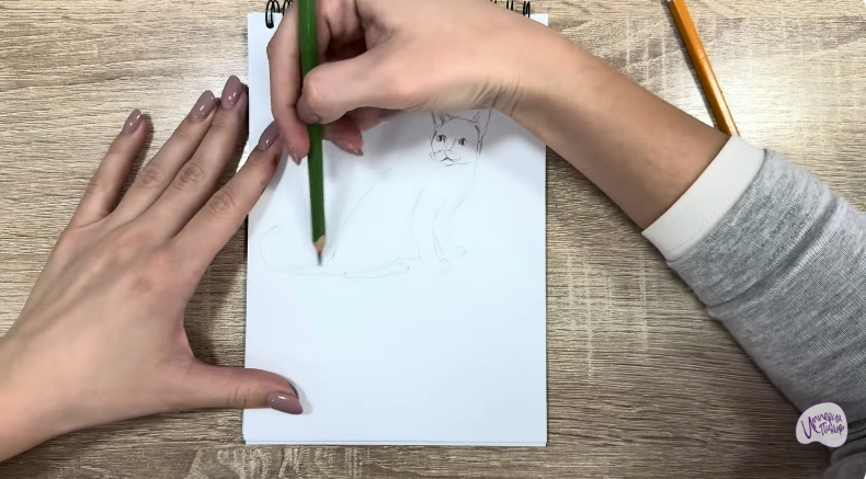 Рисуем Кот породы "Корат"