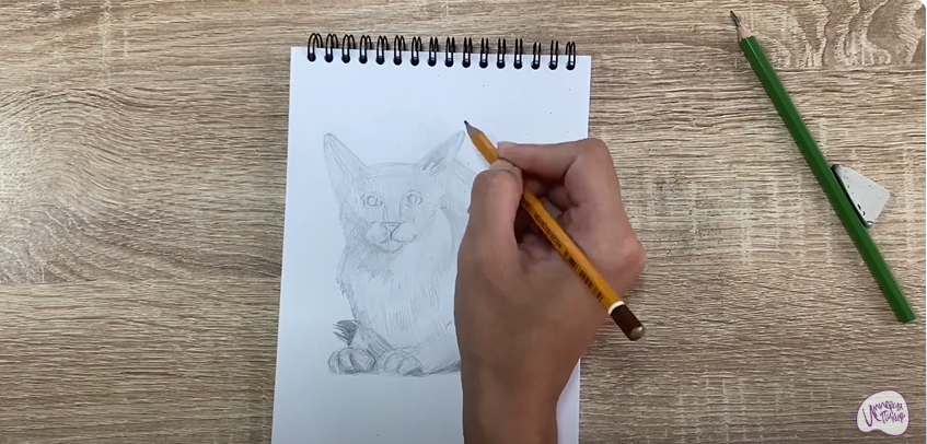 Рисуем Балинезийская кошка