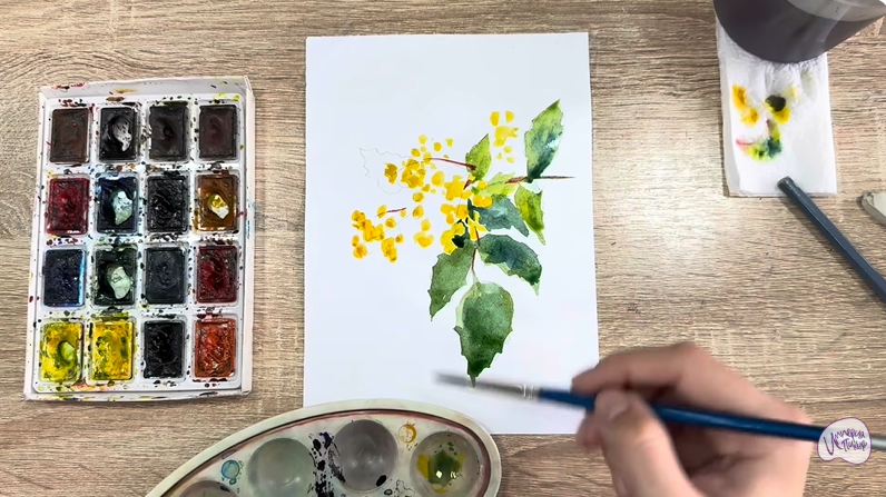 Рисуем Магония