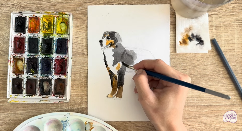 Рисуем Собака породы Бернский зенненхунд