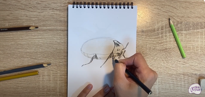 Рисуем Кожеед