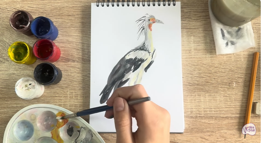 Рисуем Птица "секретарь"