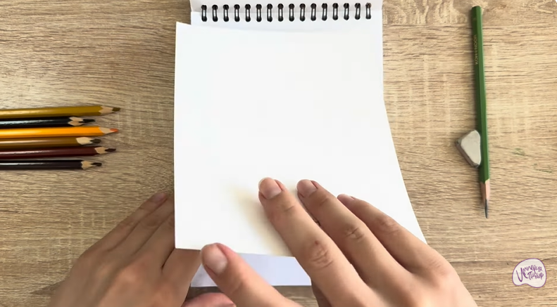 Рисуем Кот породы Оцикет