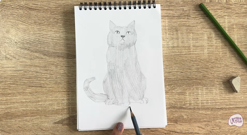 Рисуем Кот породы Шартрез