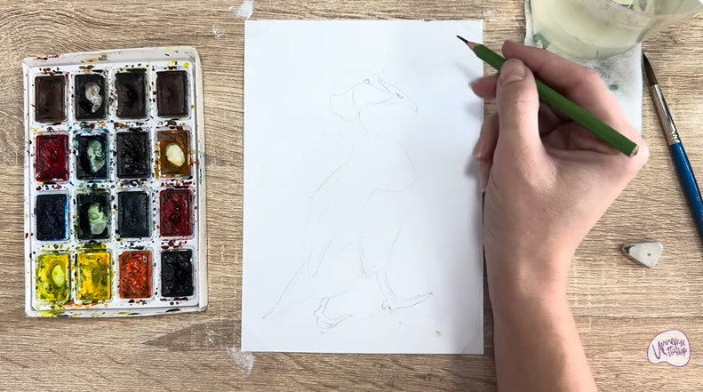 Рисуем Обыкновенная гага