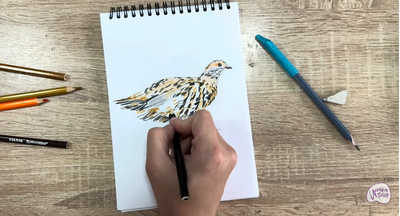 Рисуем Канадская дикуша