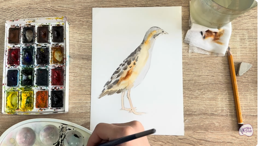 Рисуем Коростель
