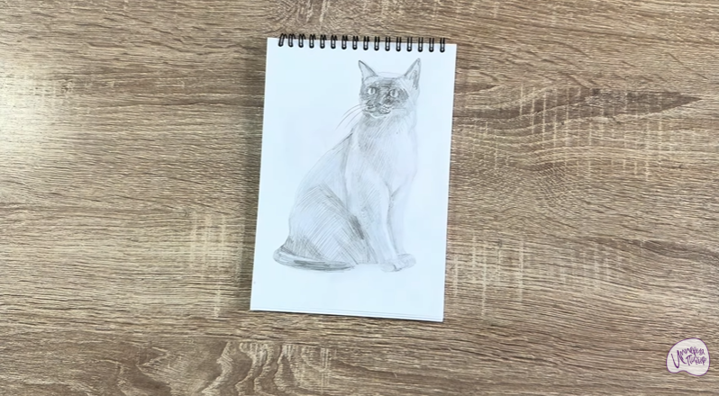 Рисуем Бурманский кот