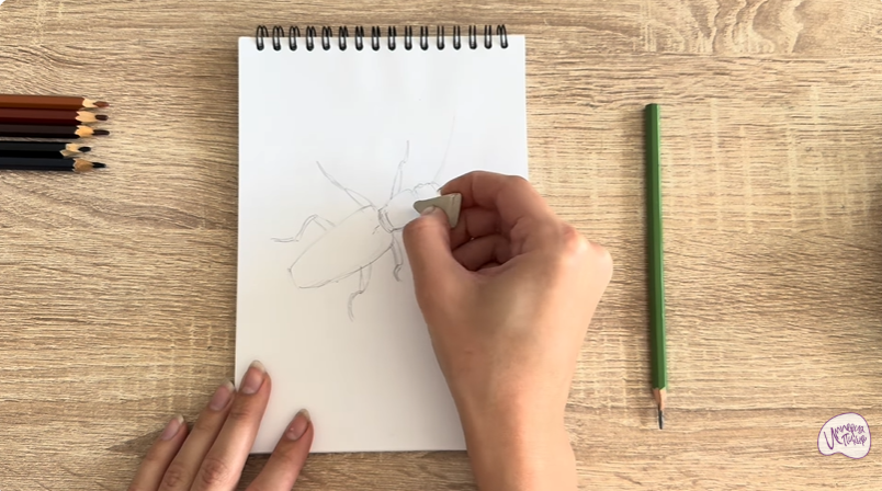 Рисуем Мукоед