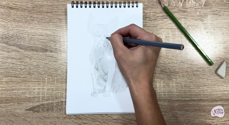 Рисуем Девон Рекс