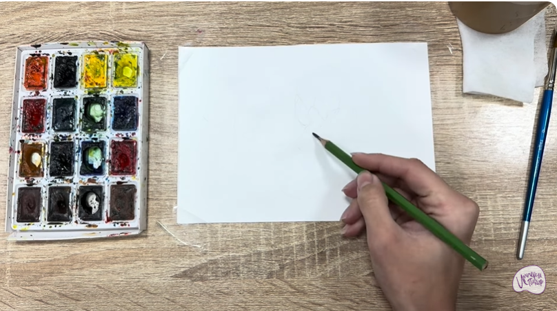 Рисуем Очиток