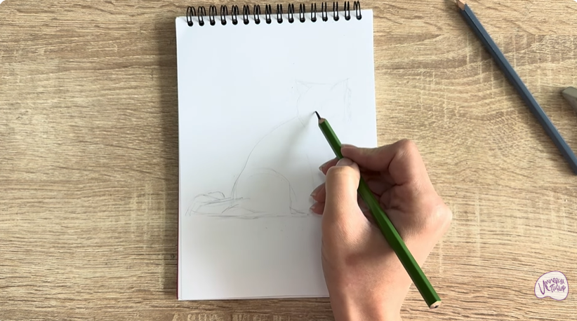 Рисуем Кошка породы Рэгдолл