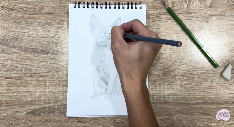 Рисуем Девон Рекс