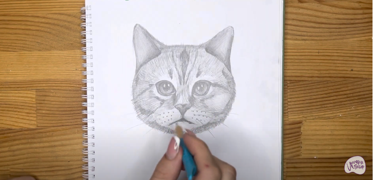 Рисуем Морда кота