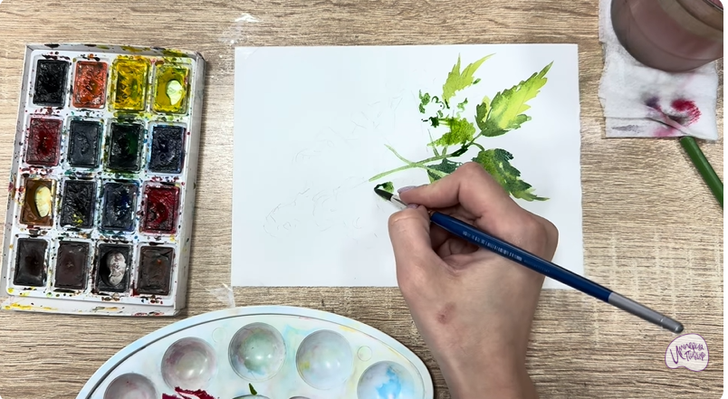 Рисуем Таволга