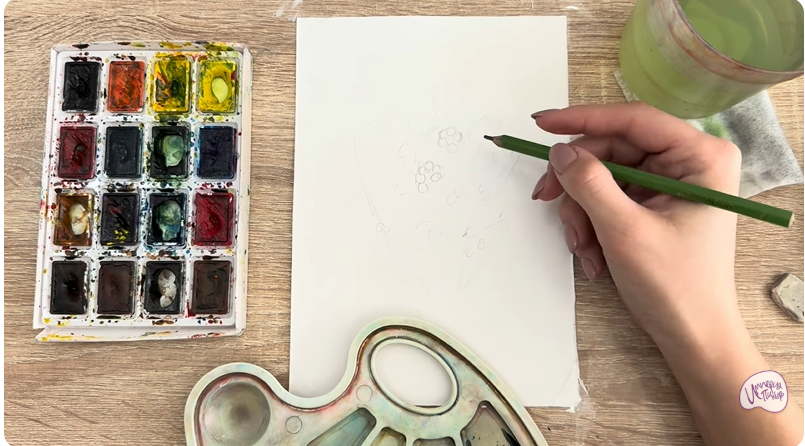 Рисуем Тис ягодный