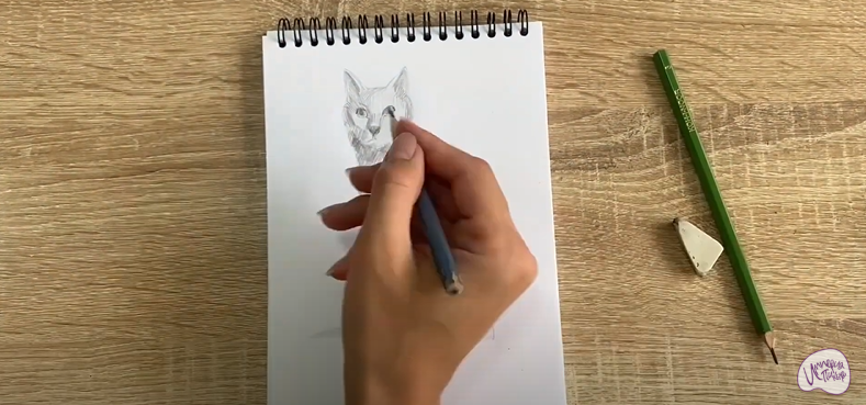 Рисуем Турецкая ангора