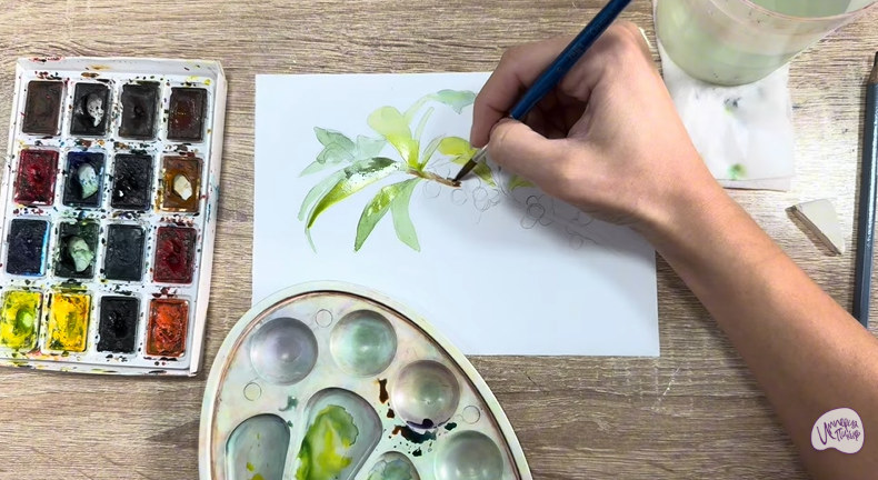 Рисуем Волчья ягода