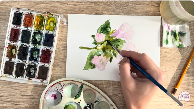 Рисуем Алтей лекарственный