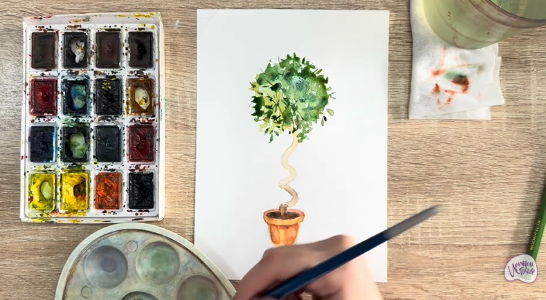 Рисуем Мирт обыкновенный