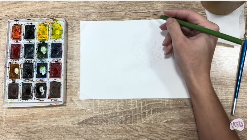 Рисуем Очиток