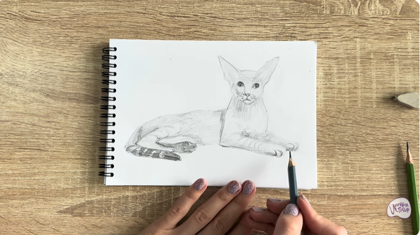 Рисуем Ориентальная кошка