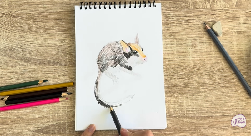 Рисуем Садовая соня