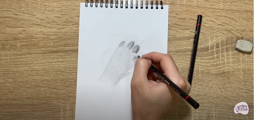 Рисуем Лапа собаки