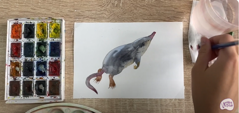 Рисуем Выхухоль