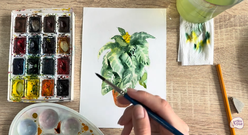 Рисуем Афеландра в горшке